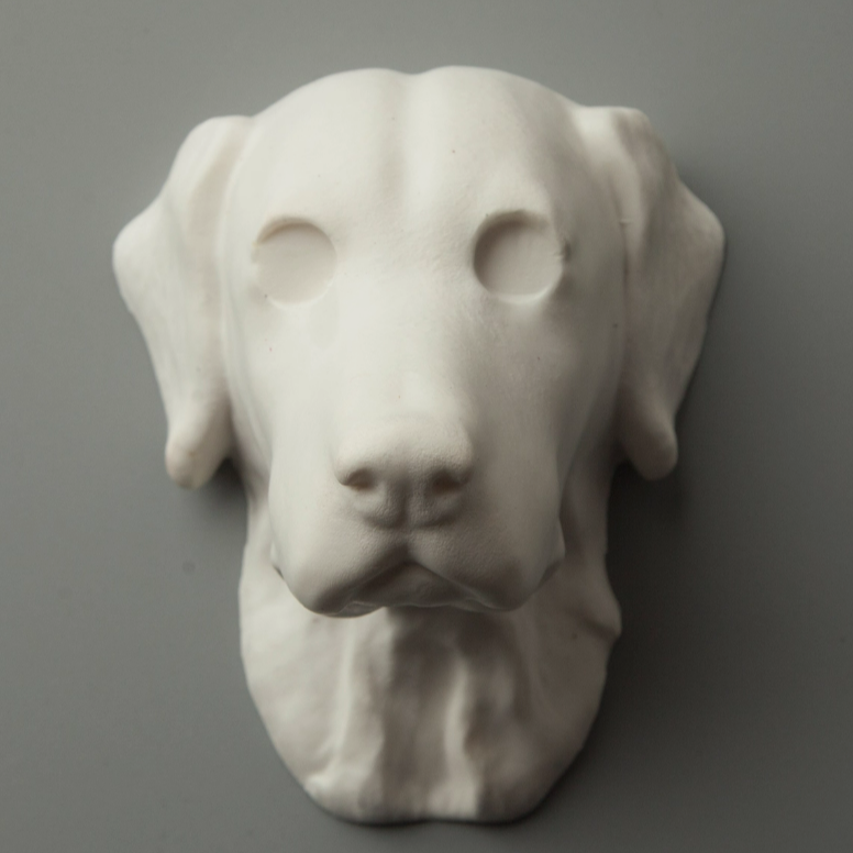 Golden Retriever Avatar Needle Felted  DIY Kits