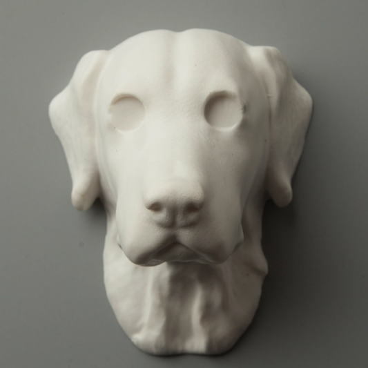 Golden Retriever Avatar Needle Felted  DIY Kits
