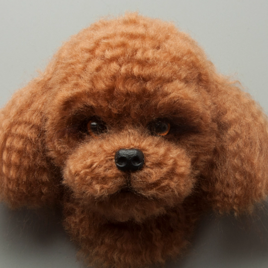 Teddy Avatar Needle Felted  DIY Kits