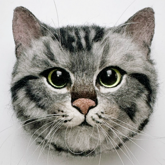 American Shorthair Avatar Needle Felted DIY Kits