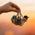 Bird Series Wool Felt Keychain 3