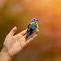 Bird Series Wool Felt Keychain 4