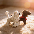 Animal Series Wool Felt Keychain 3